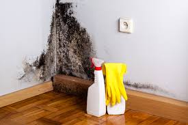 Why You Should Choose Our Mold Remediation Services in Fuquay Varina, NC